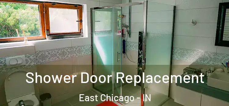 Shower Door Replacement East Chicago - IN